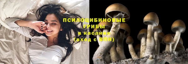 ECSTASY Чердынь