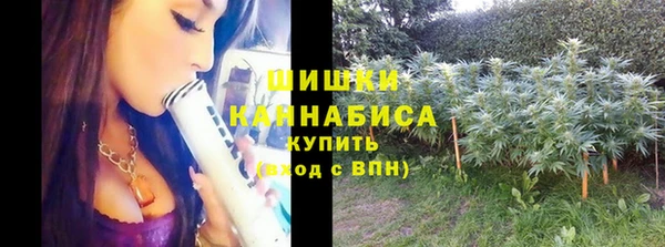 мет Чекалин