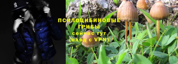 a pvp Чегем