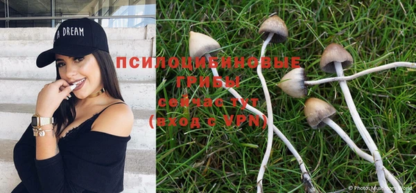 мет Чекалин