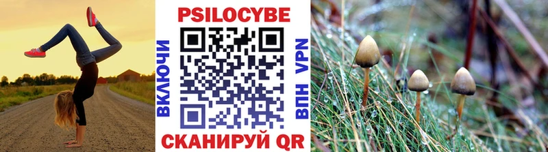 цены   Белая Холуница  Галлюциногенные грибы Magic Shrooms 