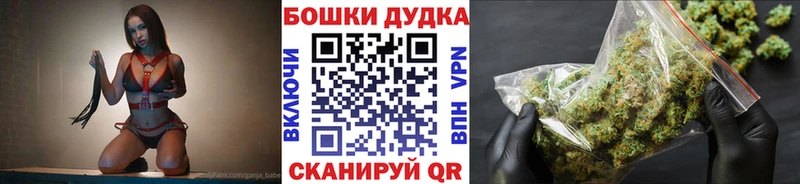 Конопля план  цены   Белая Холуница 